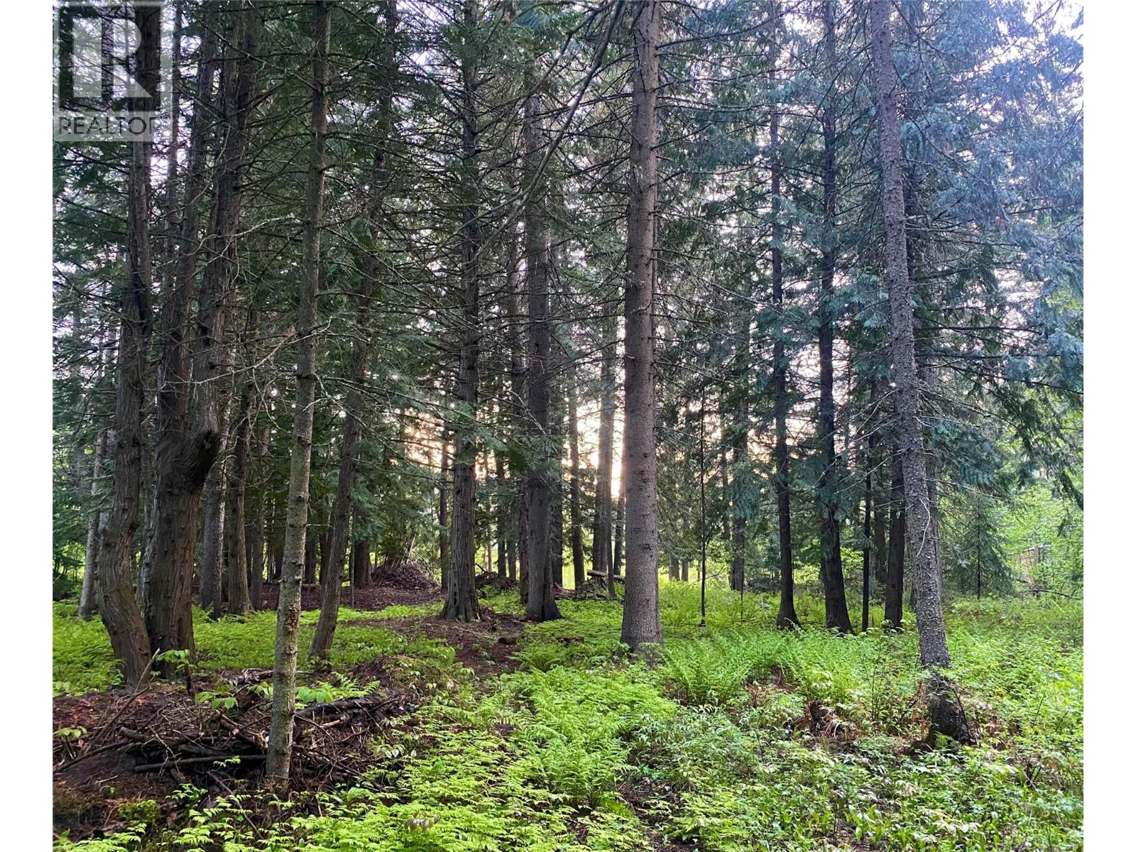 11251 THREE FORKS ROAD - 51