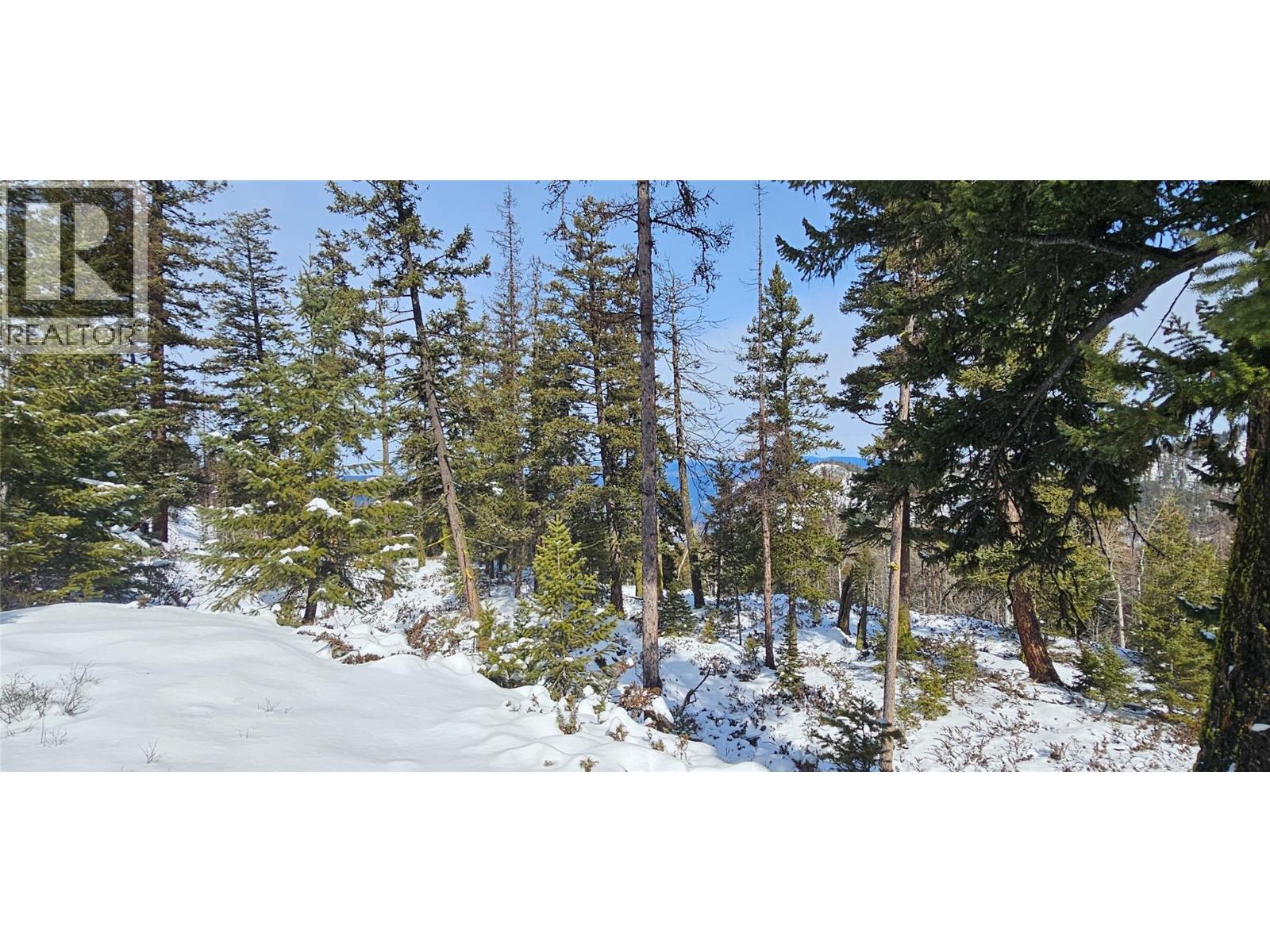 650 BLUENOSE ROAD - 60