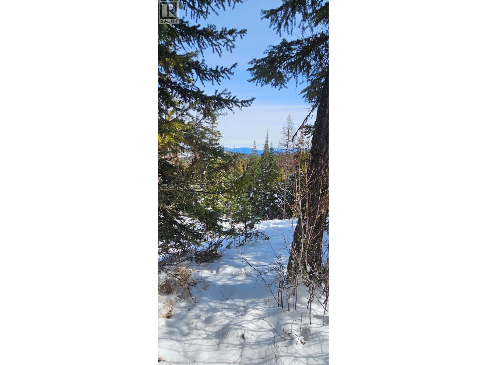 650 BLUENOSE ROAD - 59