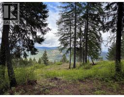 Lot 2 Hulme Creek Road, Rock Creek, BC V0H1Y0 Photo 7