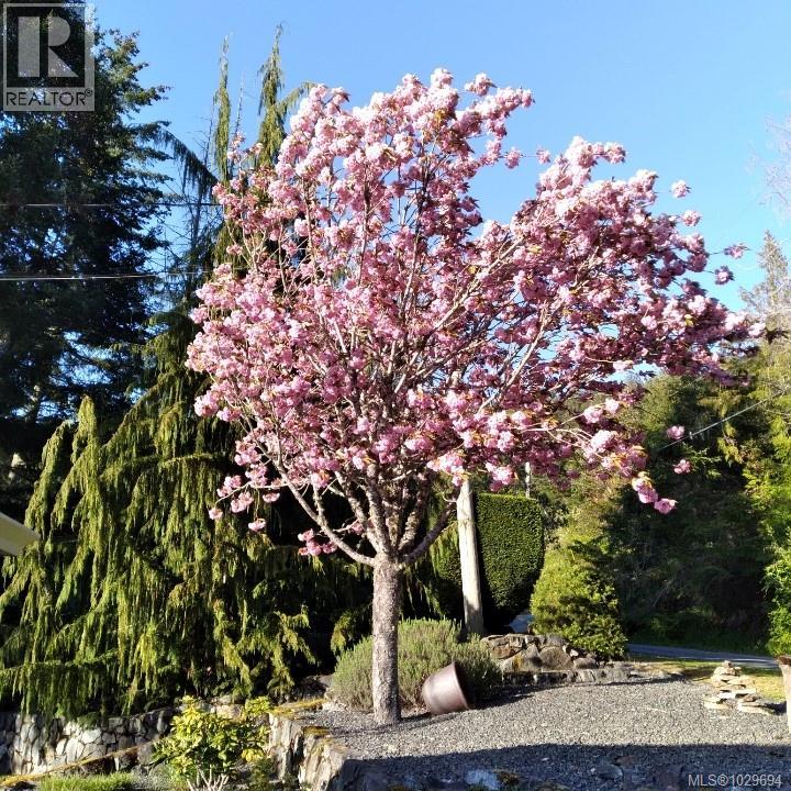  762 Seedtree Road, Sooke