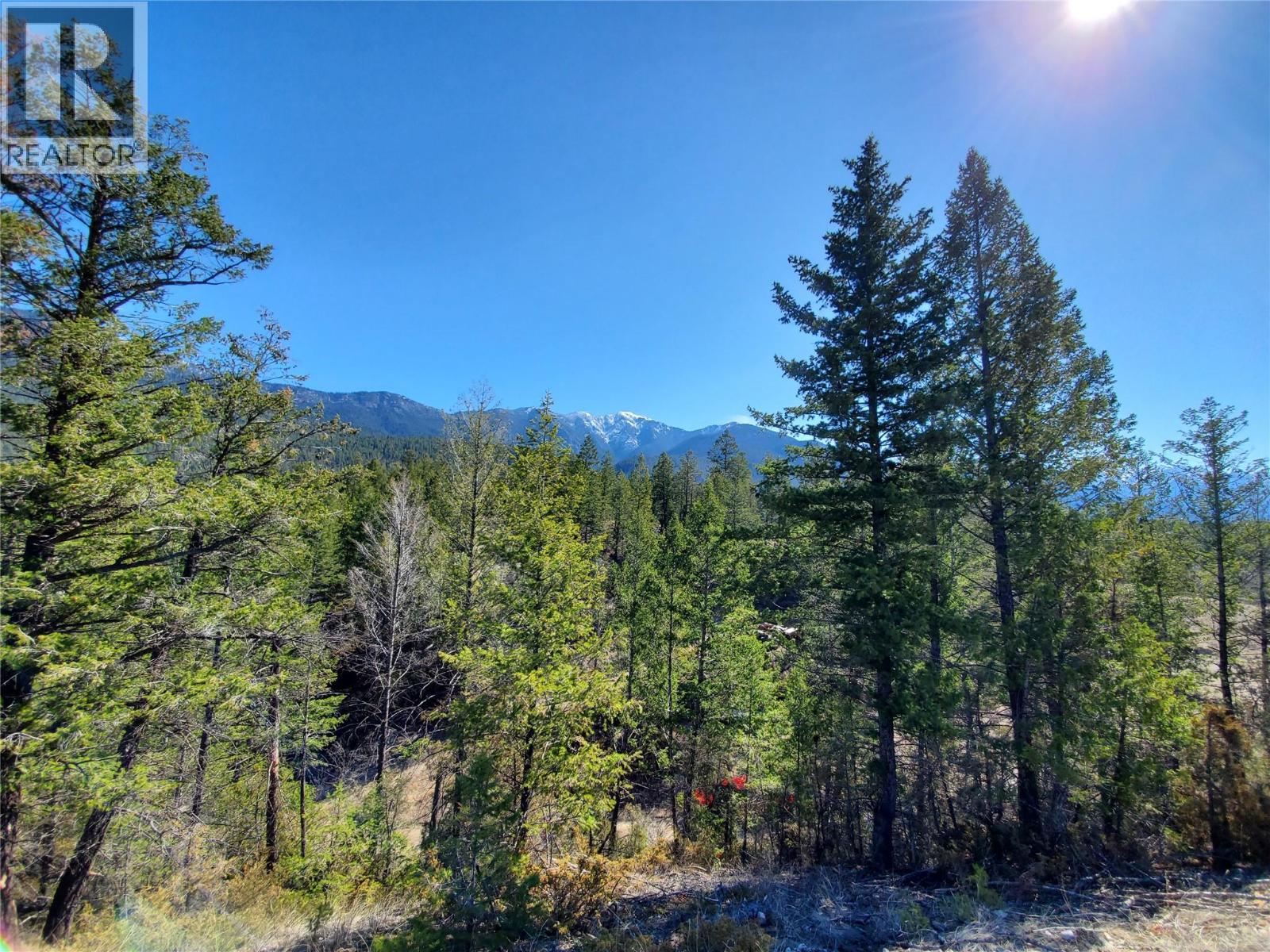 Lot 1 KOOTENAY RD NO 3 Road, Windermere