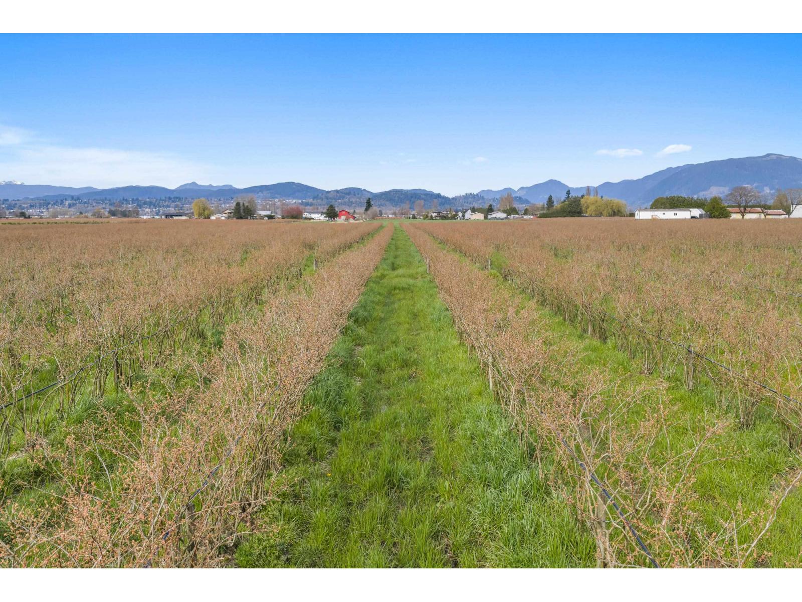 34211 HALLERT ROAD, Abbotsford