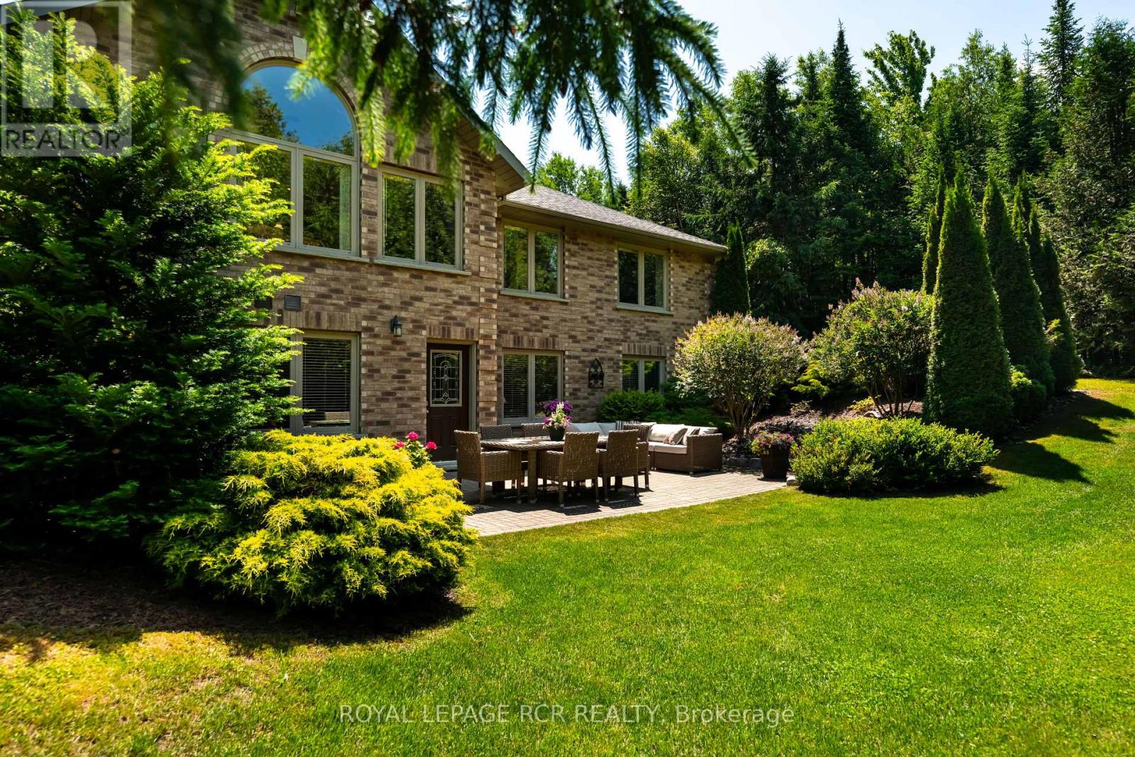 555374 MONO AMARANTH TOWNLINE