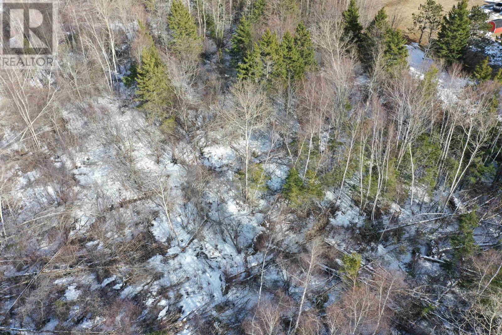 Property 26 of 27 of 4.92 Acres Willow Avenue