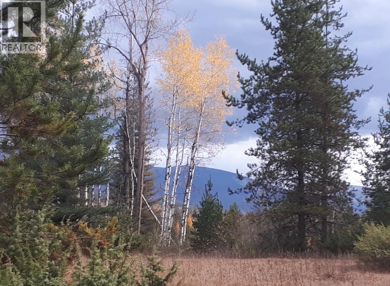 Barnes Creek Forest Service Road Lot# 34, Needles