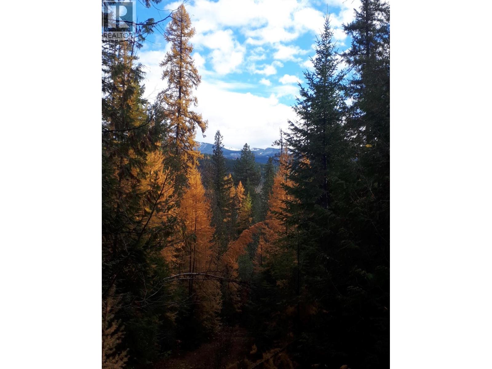 Barnes Creek Forest Service Road Lot# 34, Needles