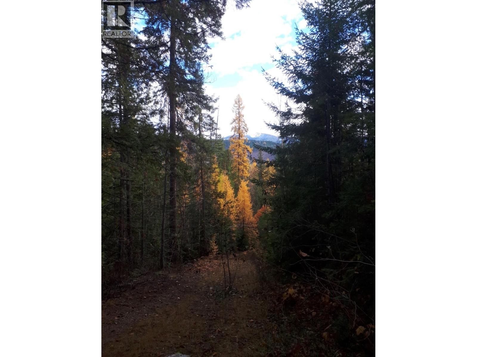 Barnes Creek Forest Service Road Lot# 34, Needles