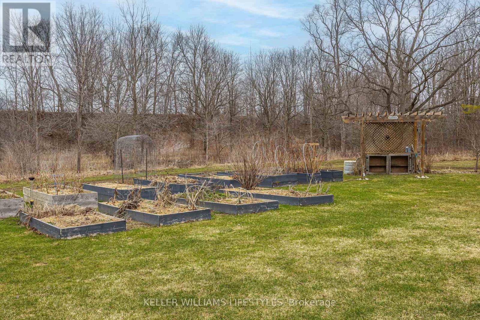 4 ALMA STREET Property Photo