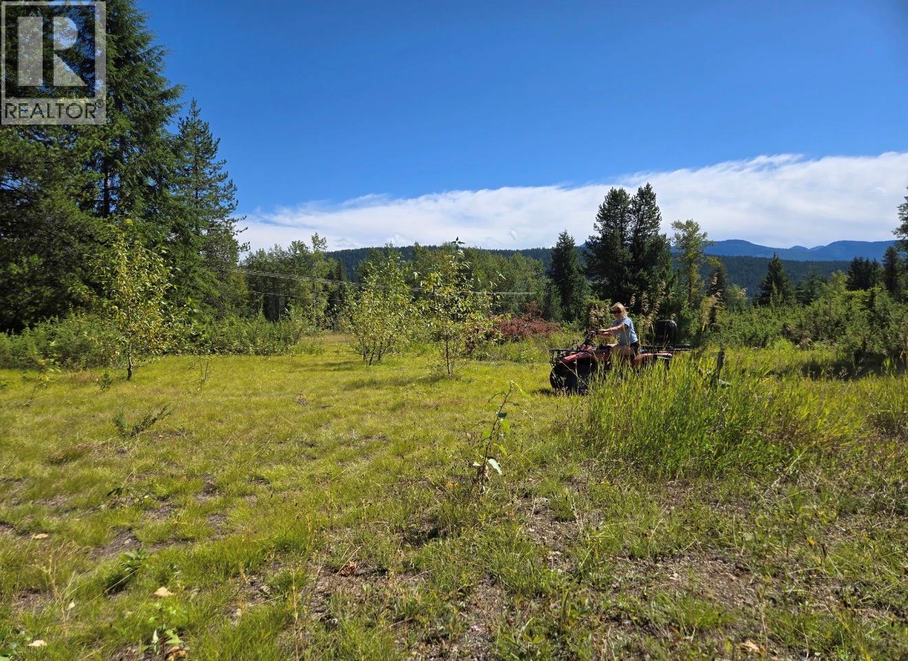 Barnes Creek Forest Service Road - photo 2