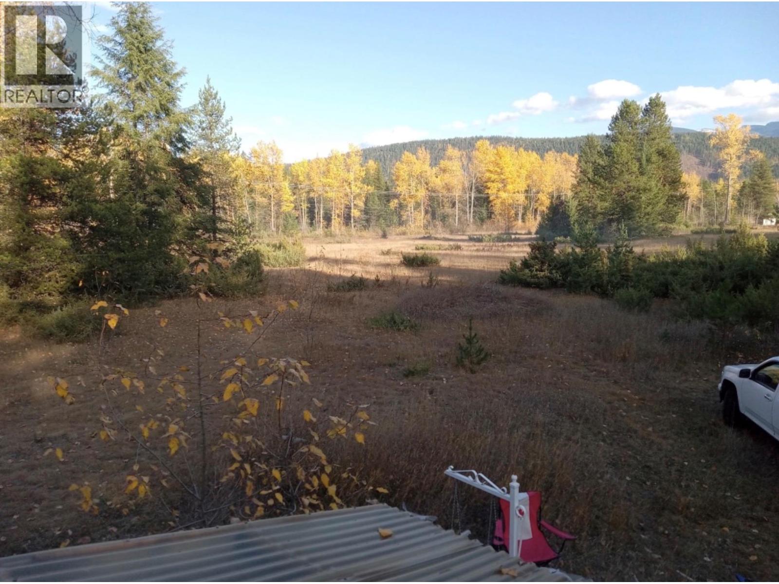 Barnes Creek Forest Service Road, Needles