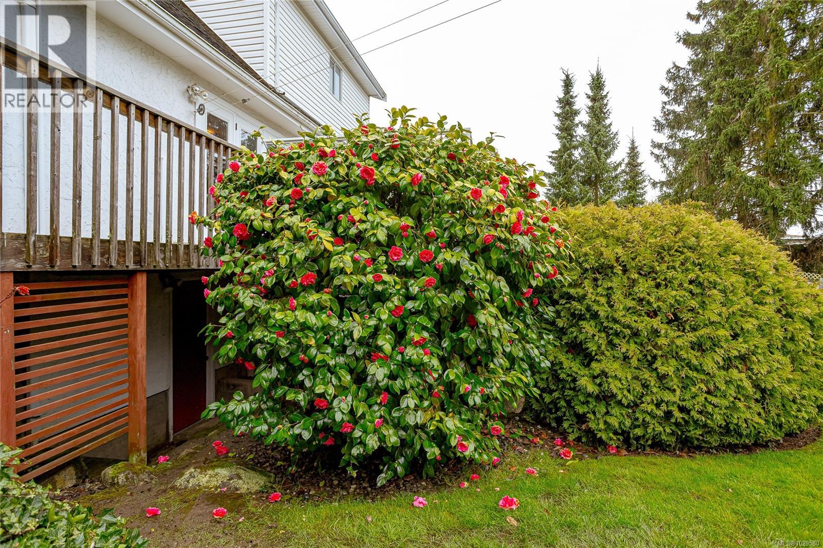  2615 Arbutus Road, Saanich