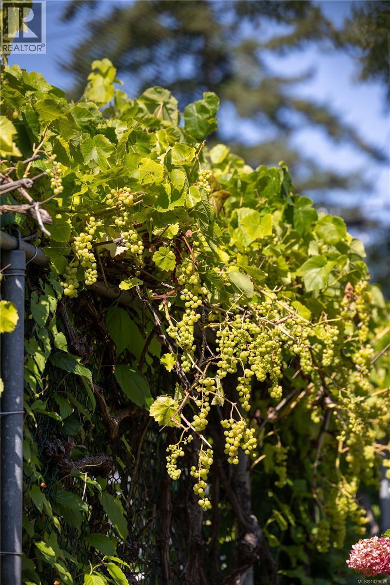 2655 SHADY LANE - 58