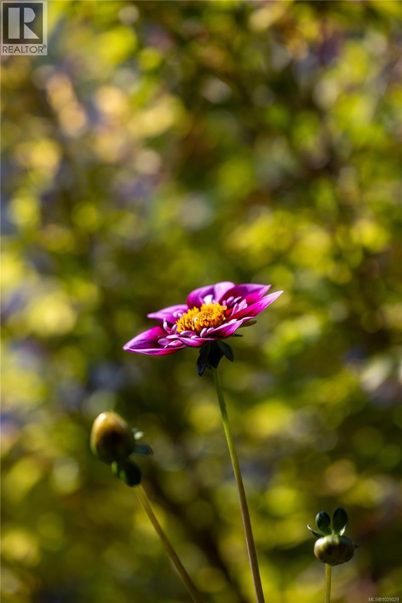 2655 SHADY LANE - 56