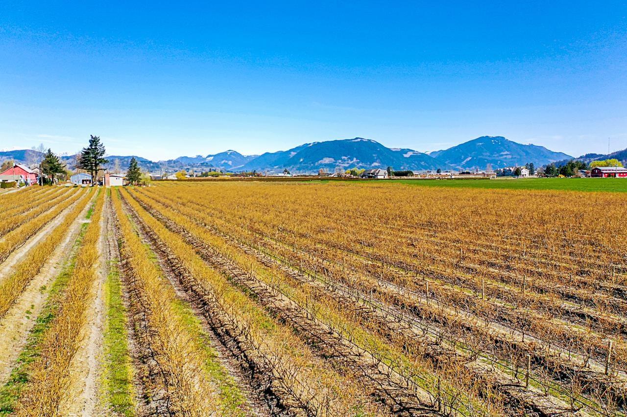 34221 TOWNSHIPLINE ROAD, Abbotsford