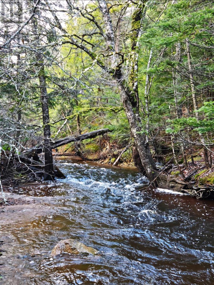 Property 9 of 26 of Lot 25-4 Highway #368