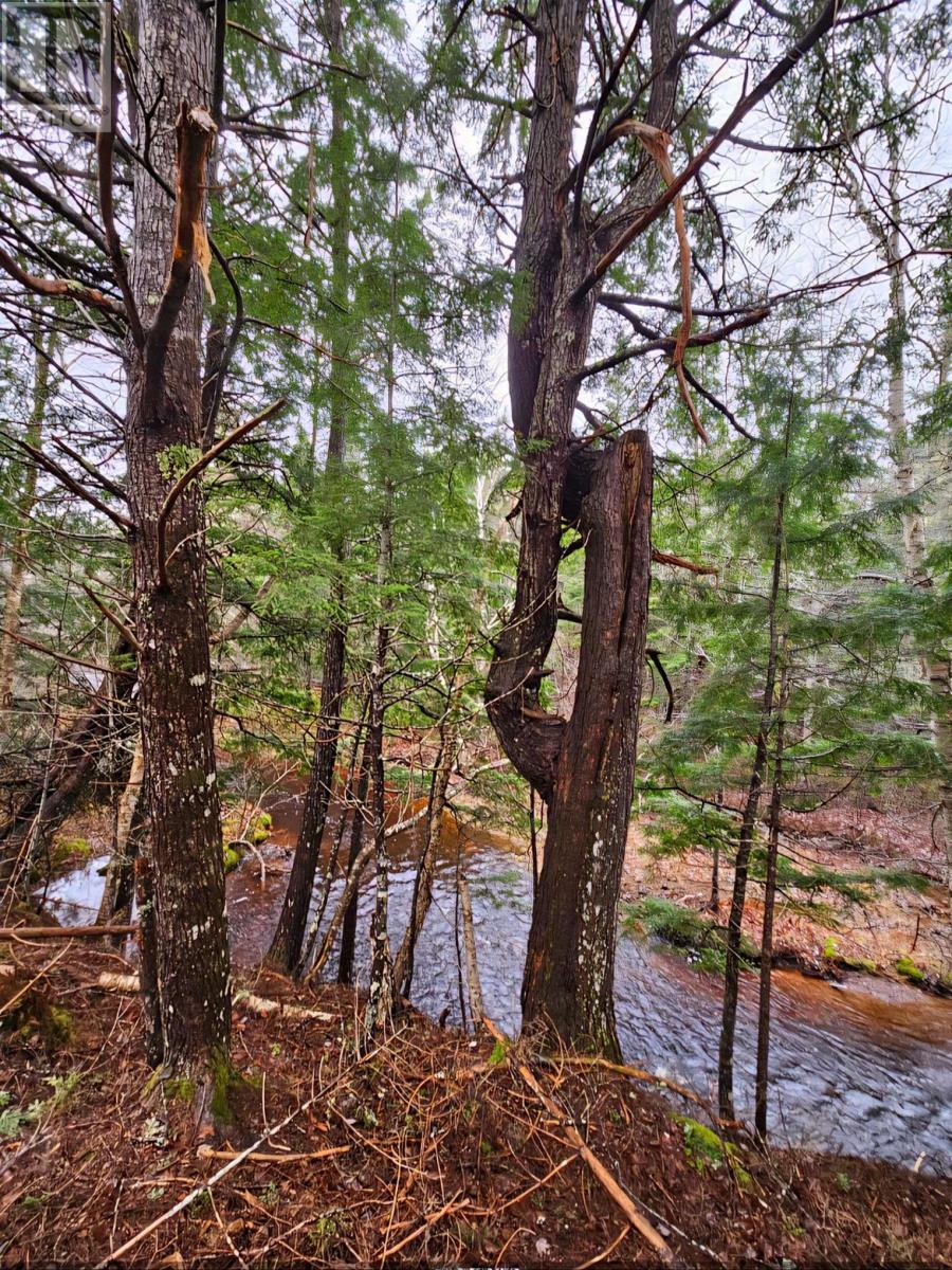 Property 3 of 26 of Lot 25-3 Highway #368