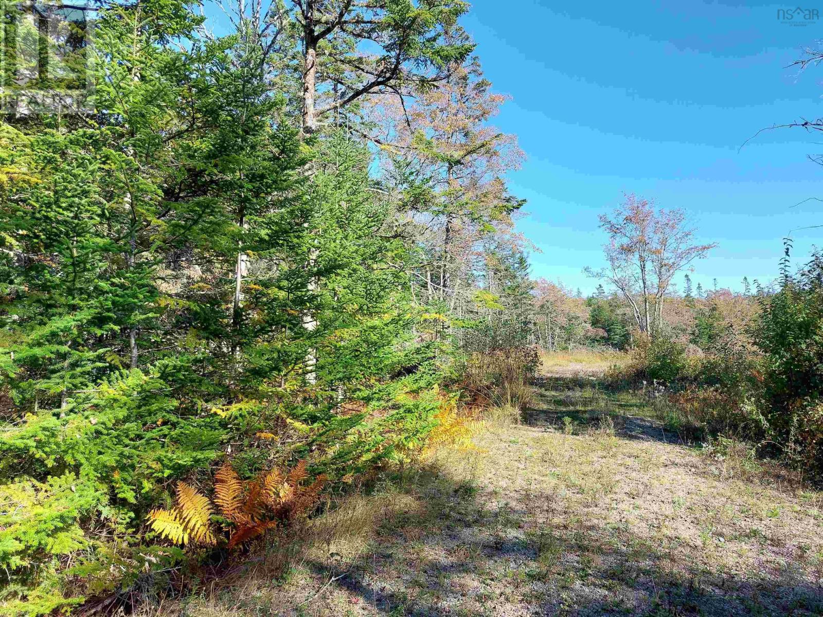 Property 7 of 27 of Lot 98-6B Gabe MacIsaac Dr Salem Road