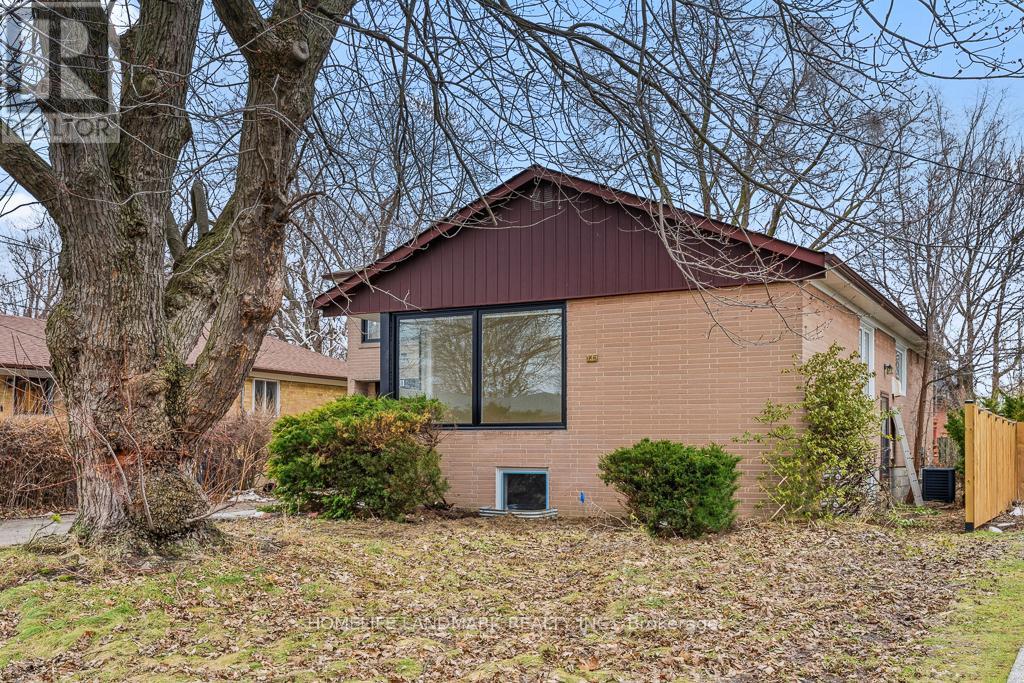 BASEMENT - 135 WATERLOO AVENUE