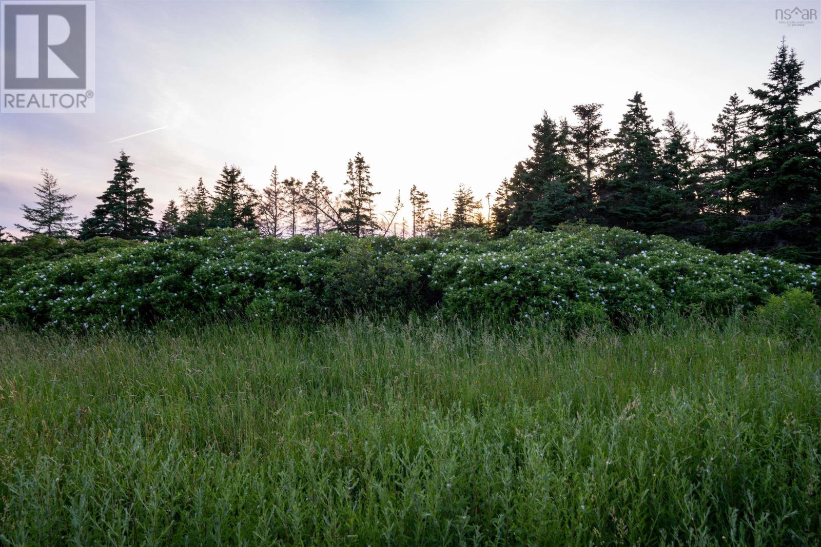 Property 2 of 12 of Lot B-4 Highway 7