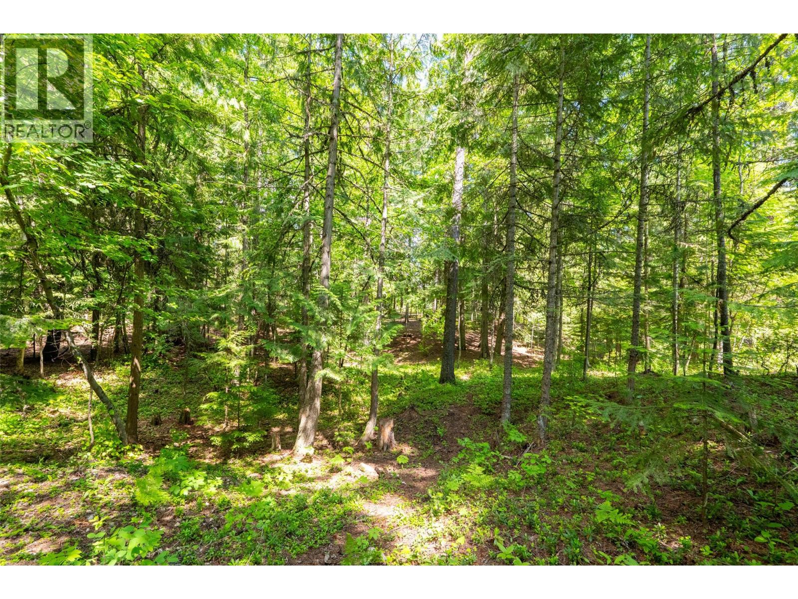 3675 Thompson Road, Bonnington Falls