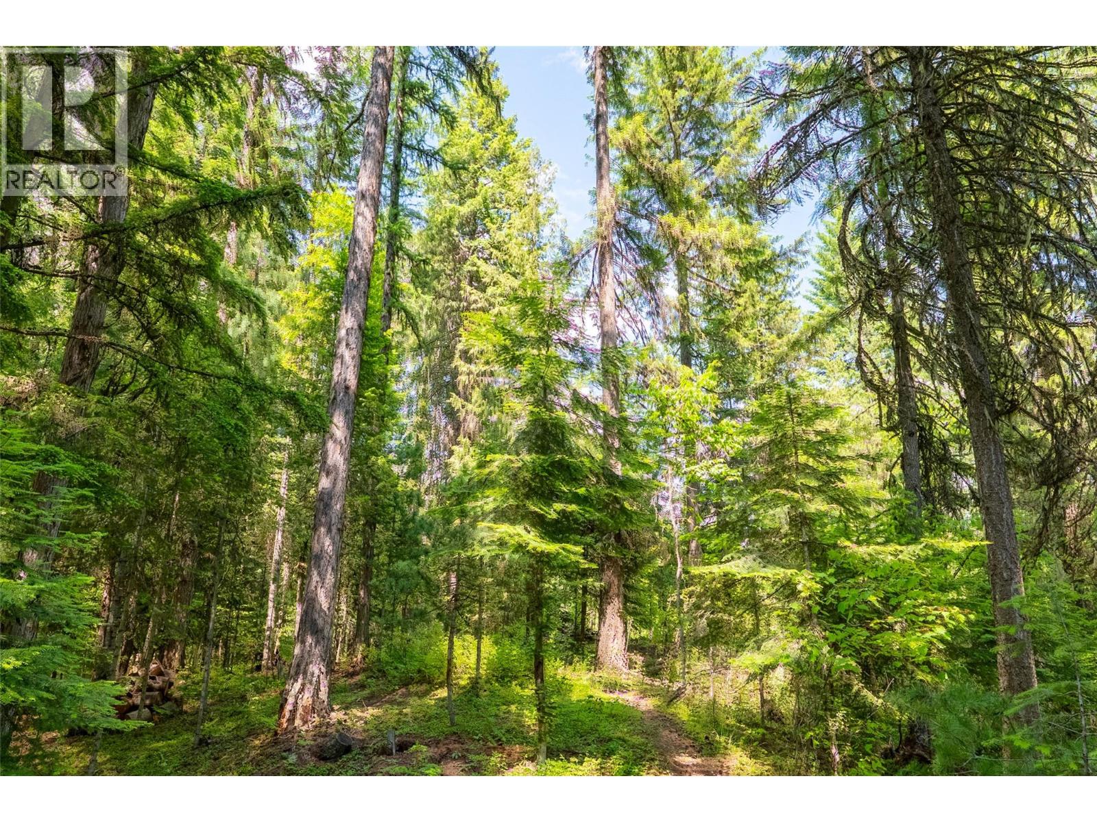 3675 Thompson Road, Bonnington Falls