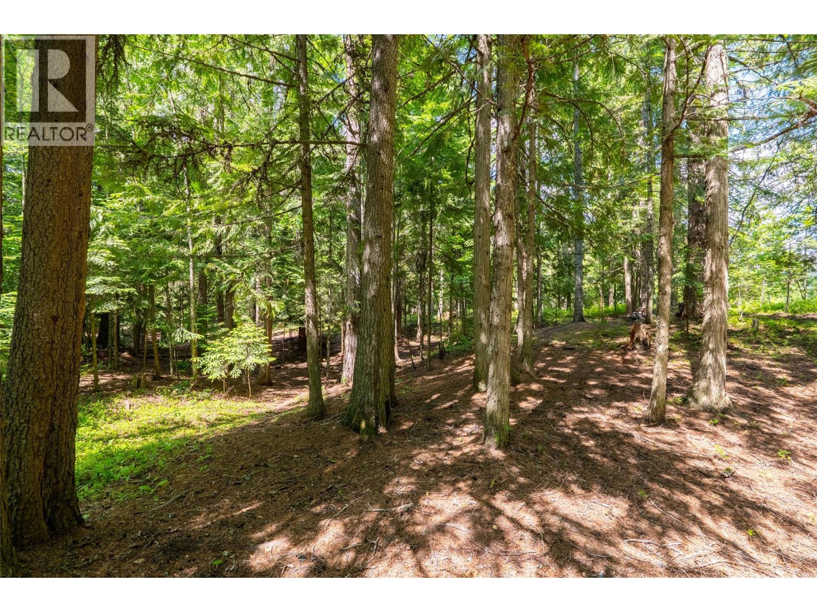 3675 Thompson Road, Bonnington Falls