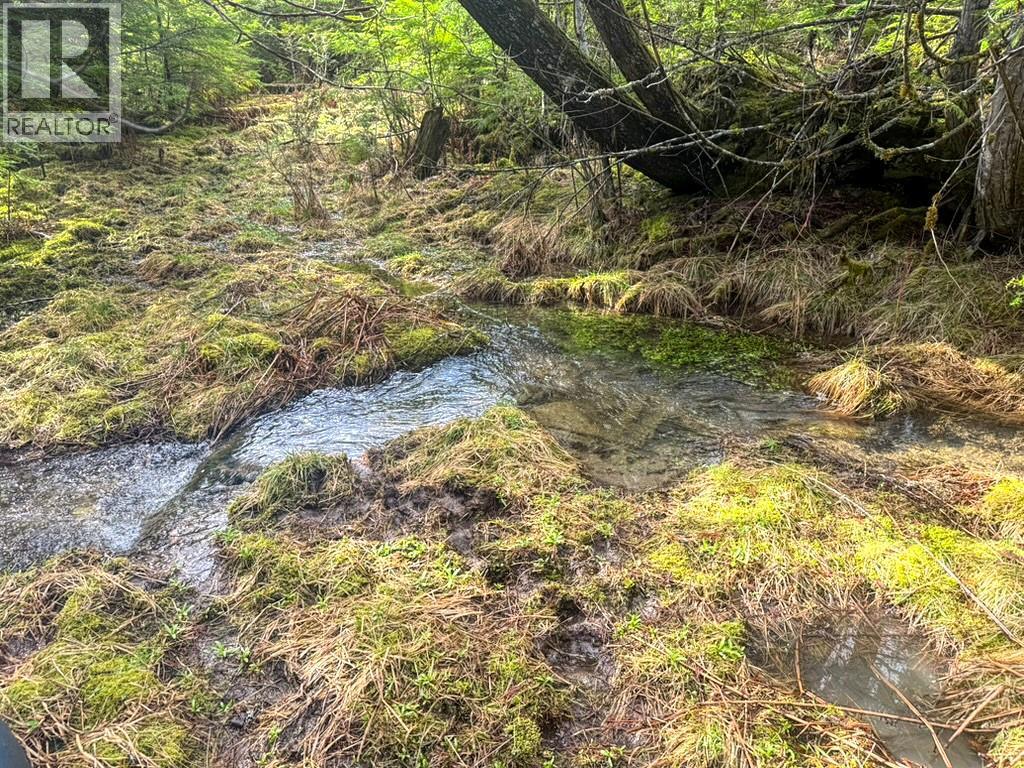 16317 Cedar Road, Crawford Bay