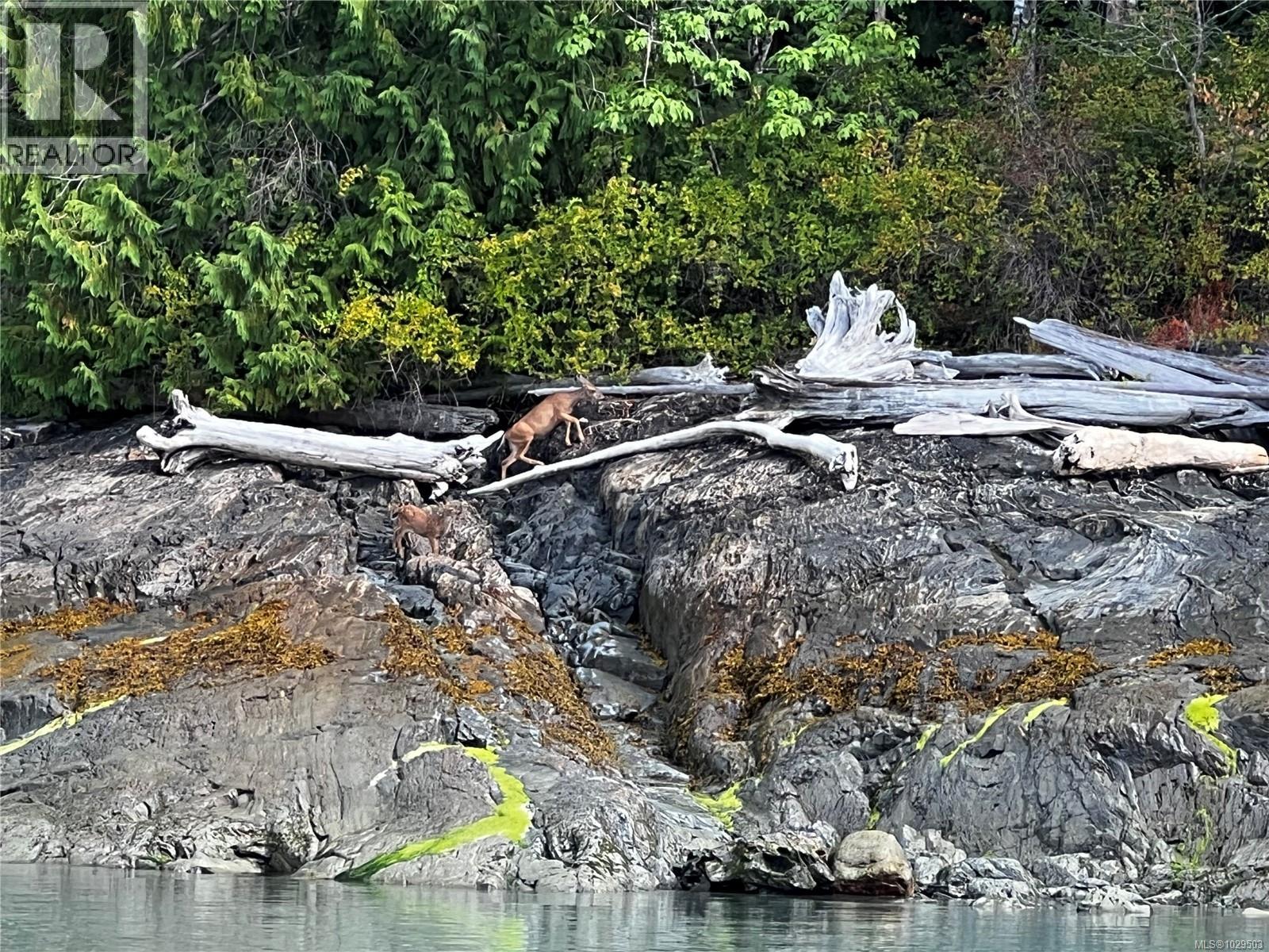 LOT 49 BUSBY ISLAND - 52