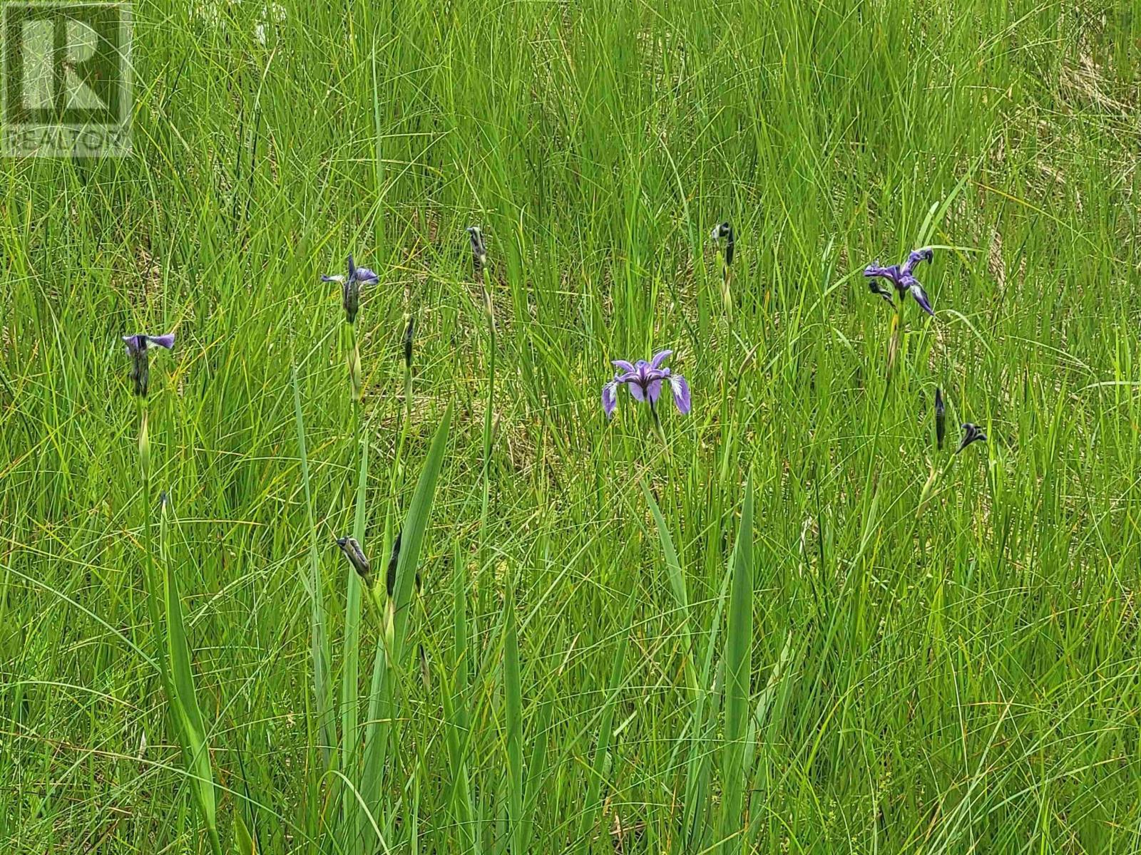 Property 11 of 32 of 7219 Kemptown