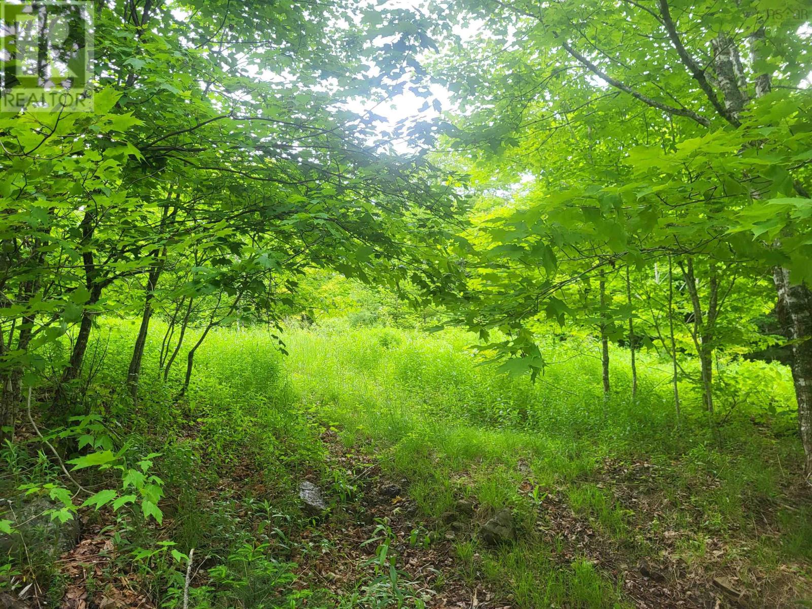 Property 7 of 32 of 7219 Kemptown