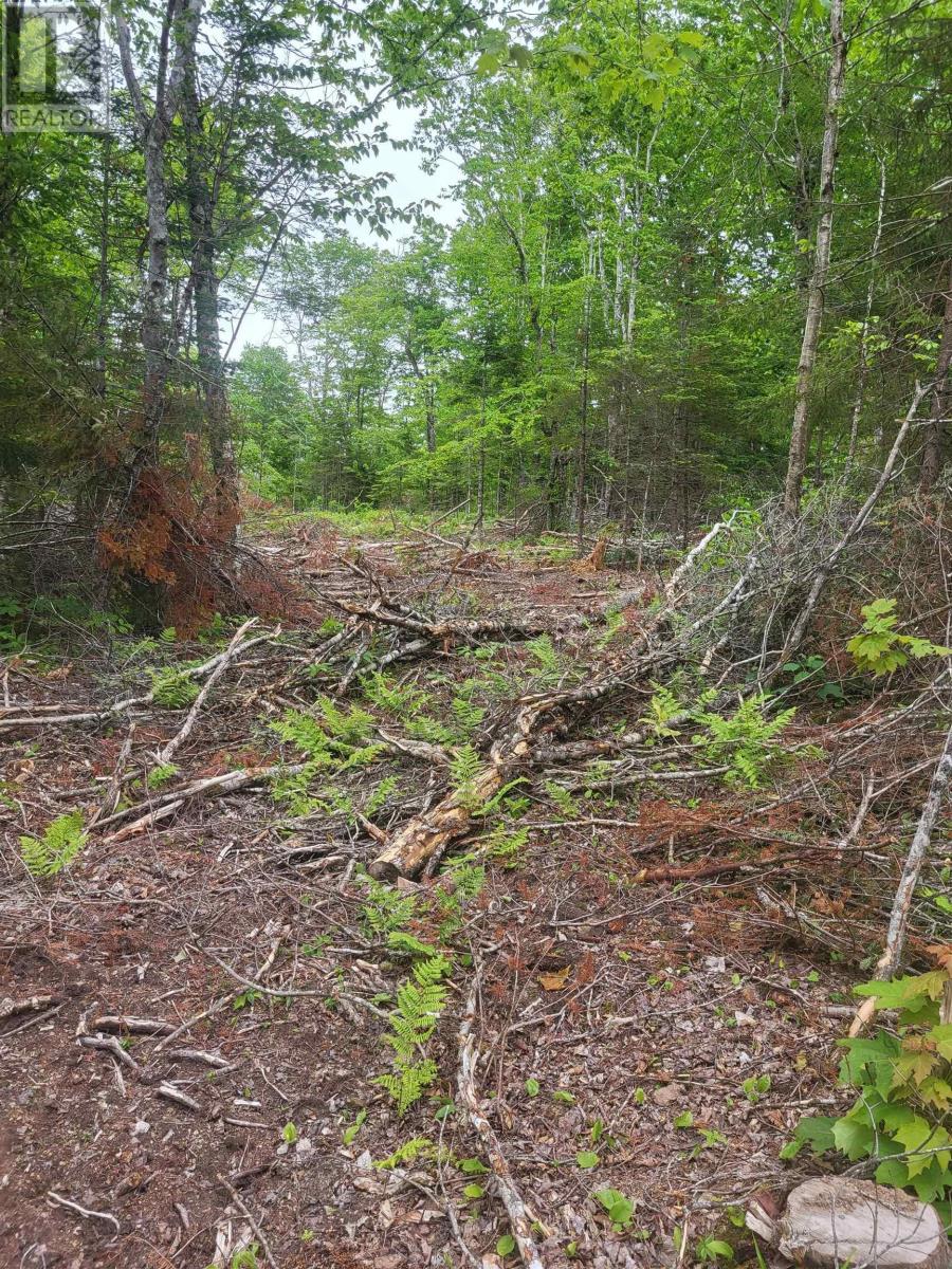 Property 4 of 32 of 7219 Kemptown