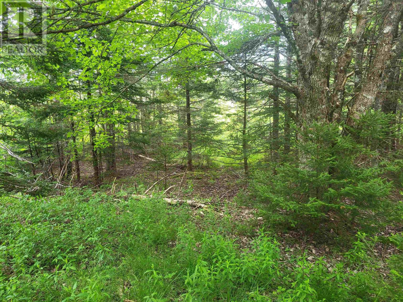 Property 14 of 32 of 7219 Kemptown