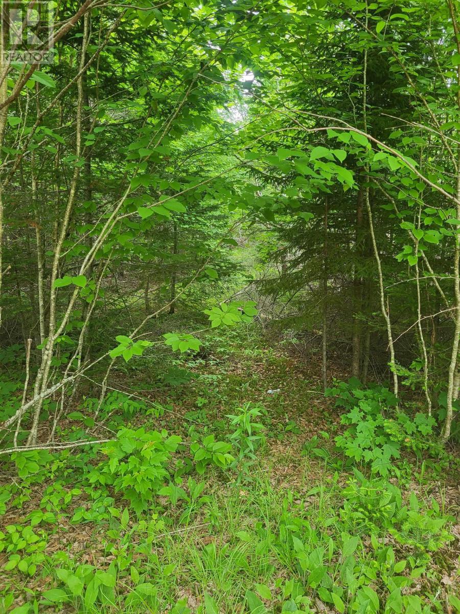 Property 12 of 32 of 7219 Kemptown