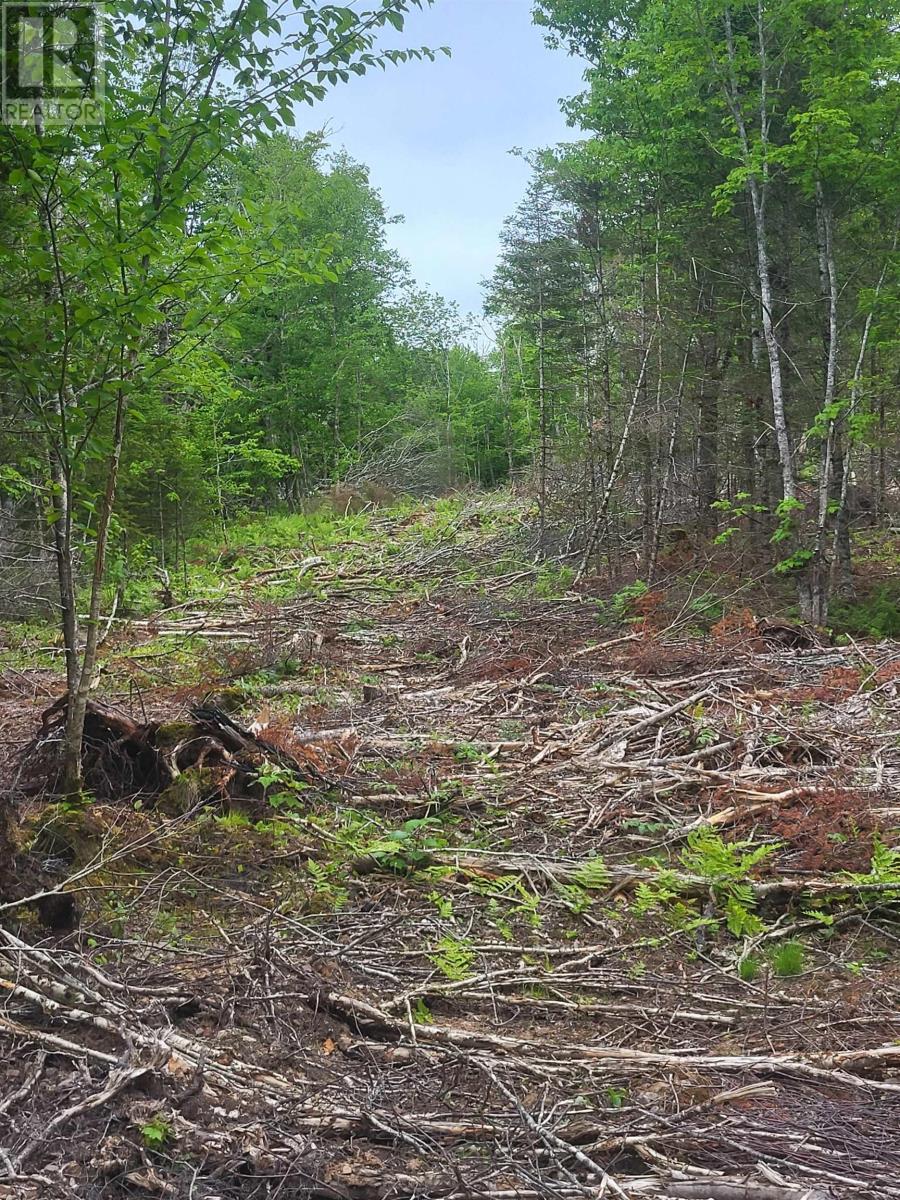 Property 5 of 32 of 7219 Kemptown