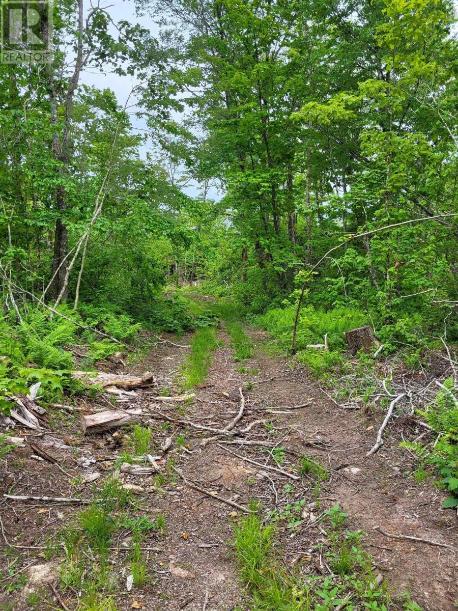 Property 18 of 32 of 7219 Kemptown