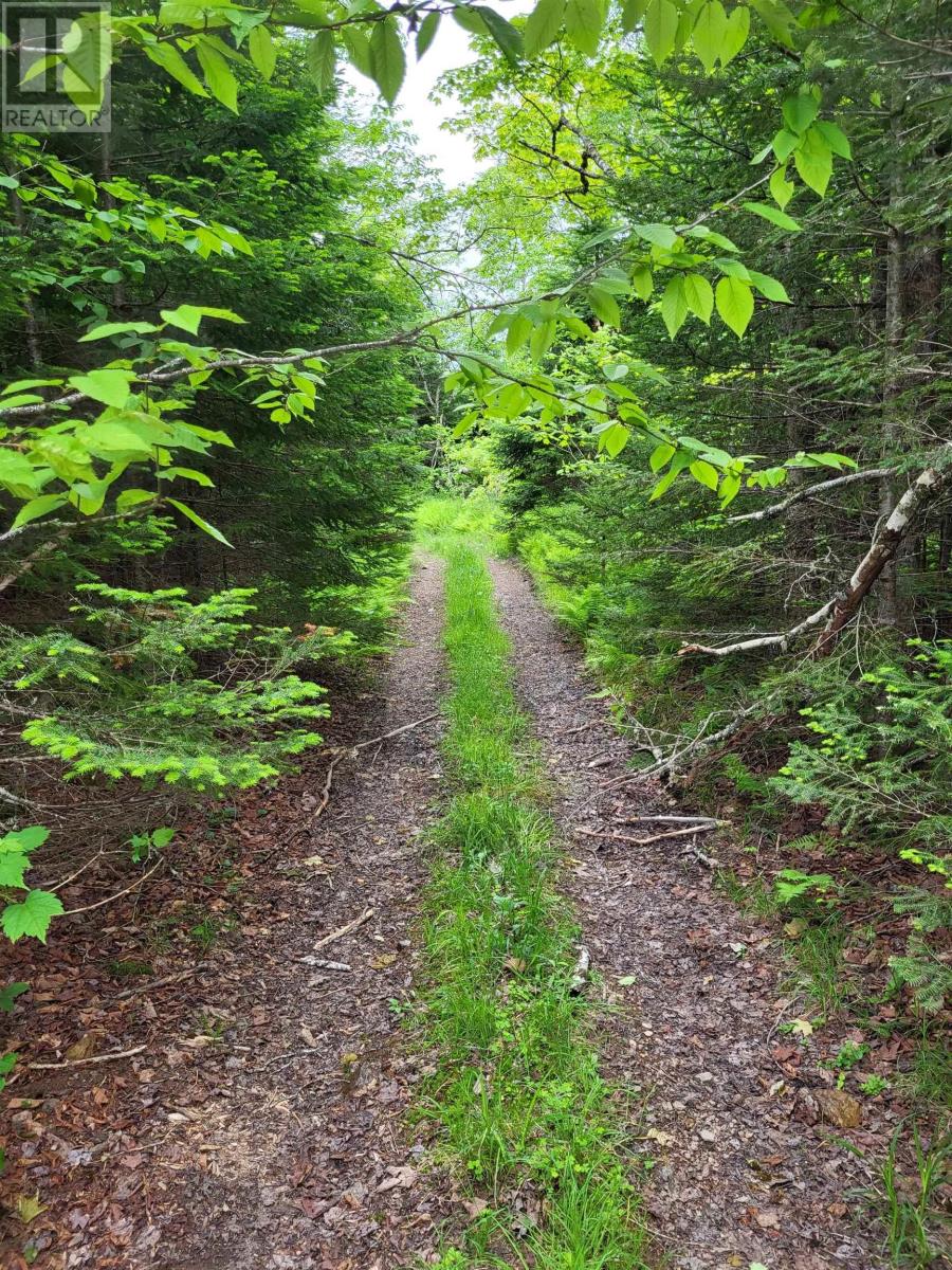 Property 20 of 32 of 7219 Kemptown