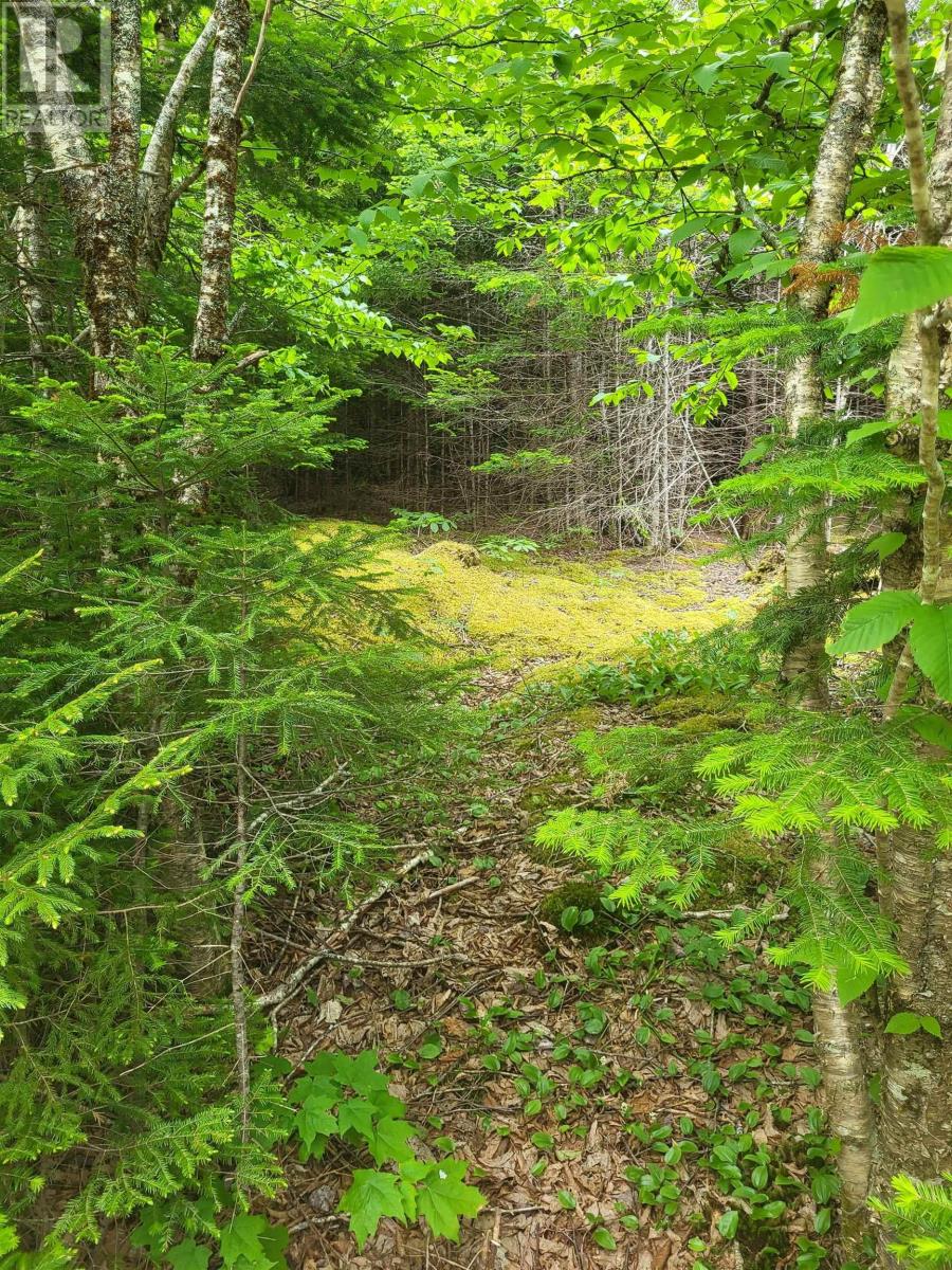 Property 27 of 32 of 7219 Kemptown