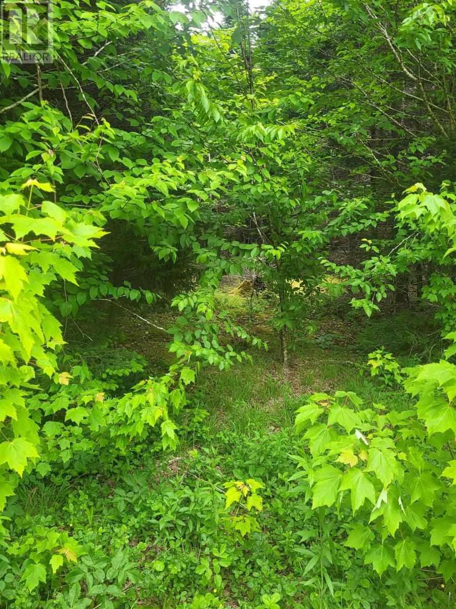 Property 25 of 32 of 7219 Kemptown