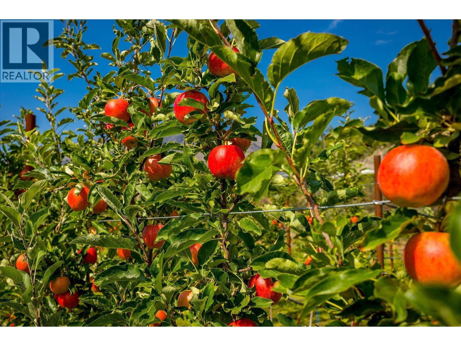 802 Coulthard Road, Cawston