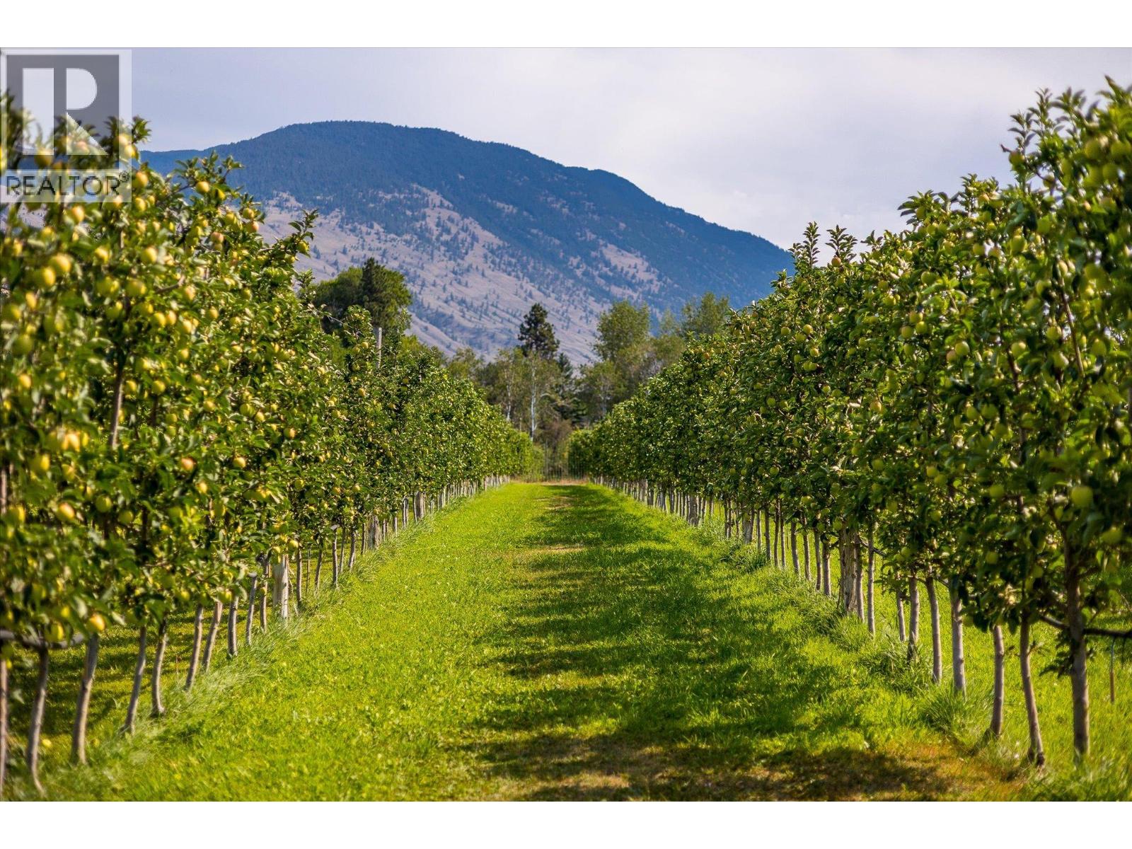 802 Coulthard Road, Cawston