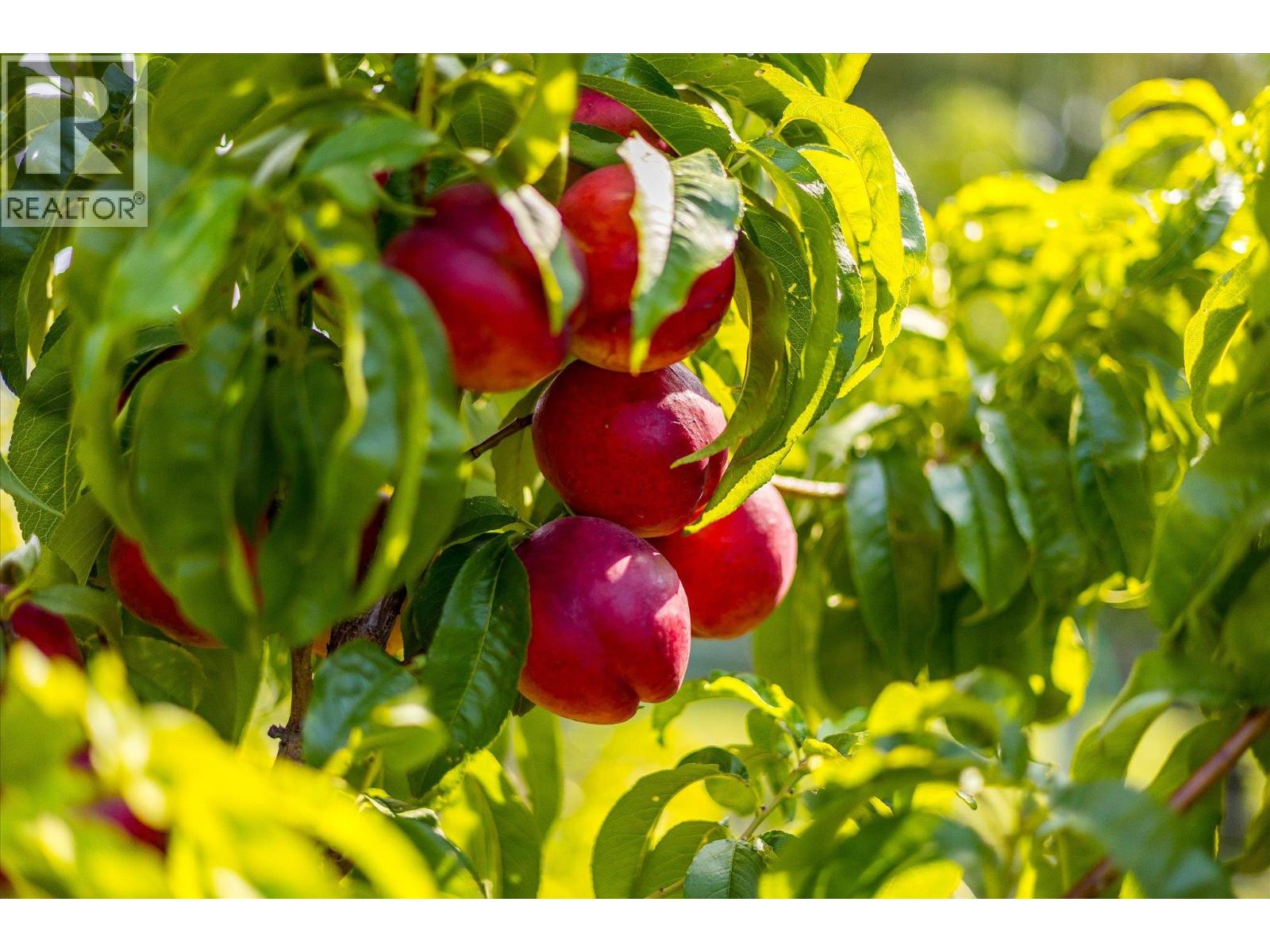 802 Coulthard Road, Cawston