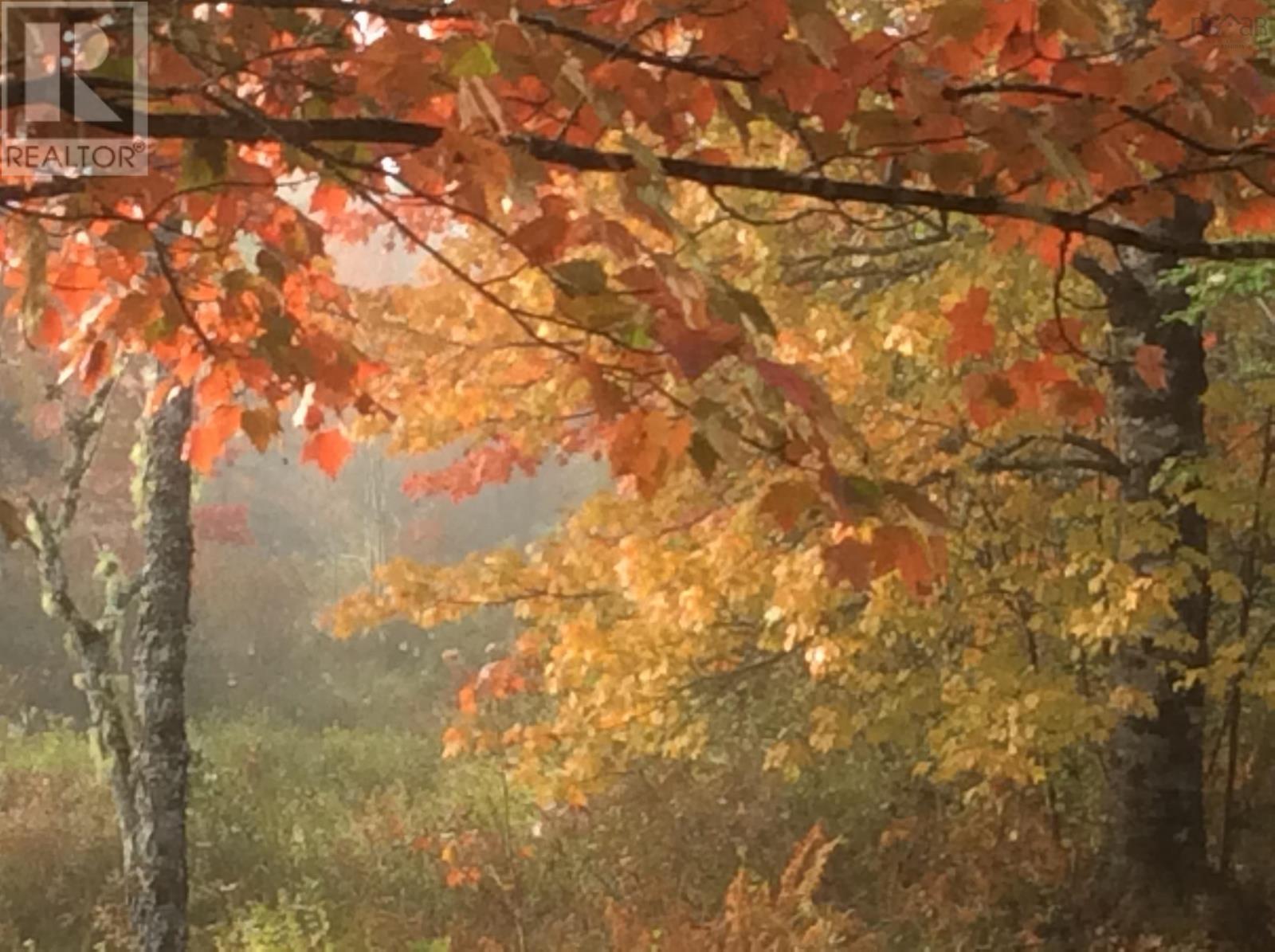 Property 28 of 37 of Lot Napier River