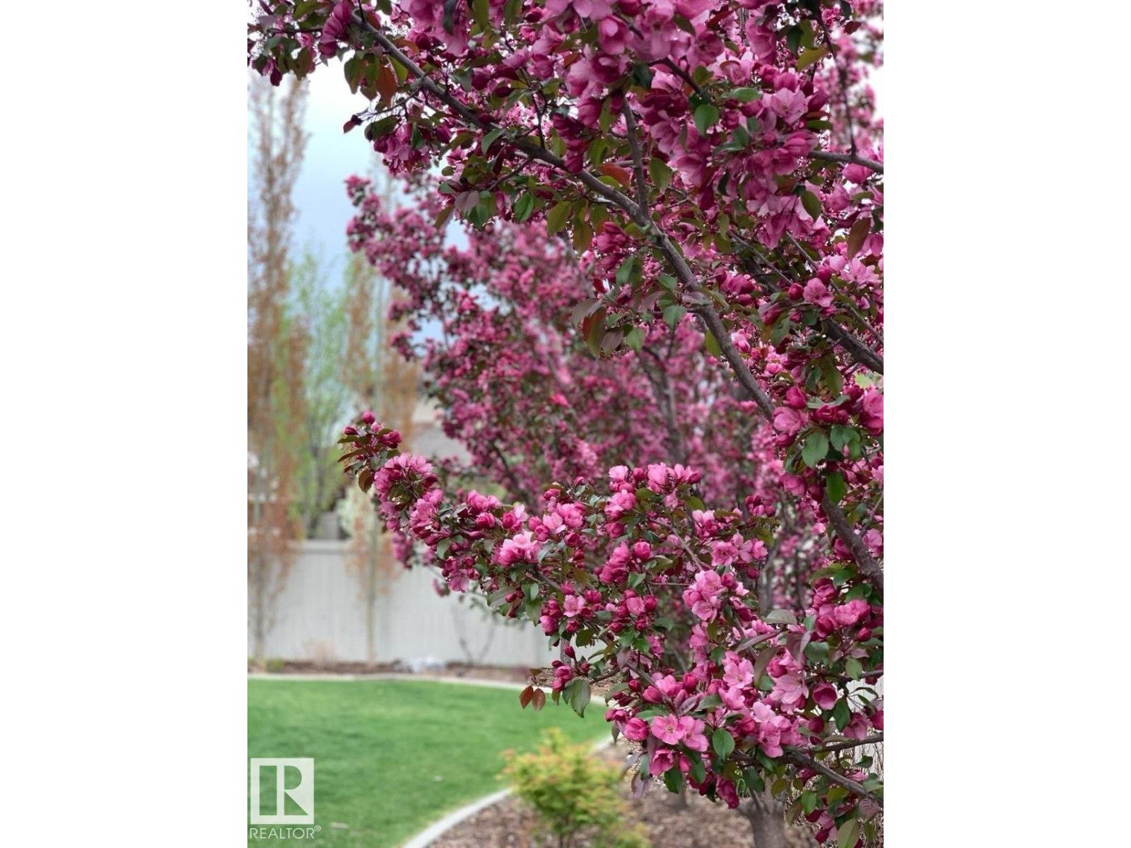 2525 CAMERON RAVINE LANDING NW, Edmonton