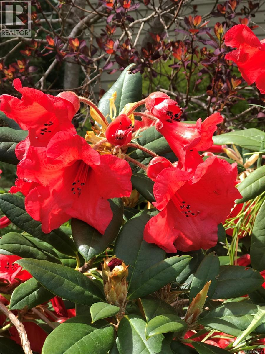 161 Margaret Ave, Salt Spring