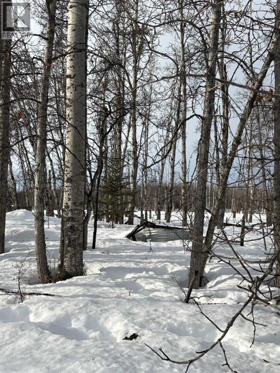 
          31 W6-3-84-24 NW &amp; SW SW
            <br/>
            <span>Rural Clear Hills County</span>
            , 
            <span>AB</span>
             <span>T0H2A0</span>
         - Photo 5