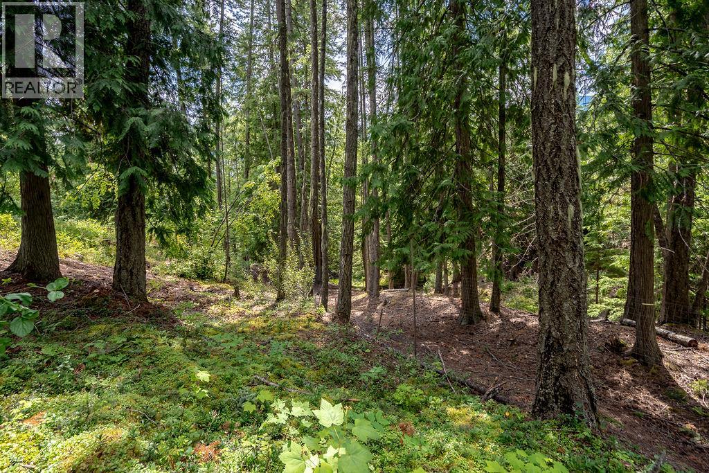 6105 Pine Ridge Road, Kaslo