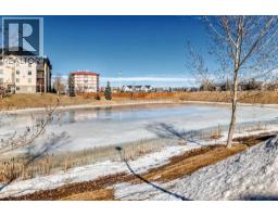 6310, 304 Mackenzie Way Sw, Airdrie, AB T4B3H6 Photo 20