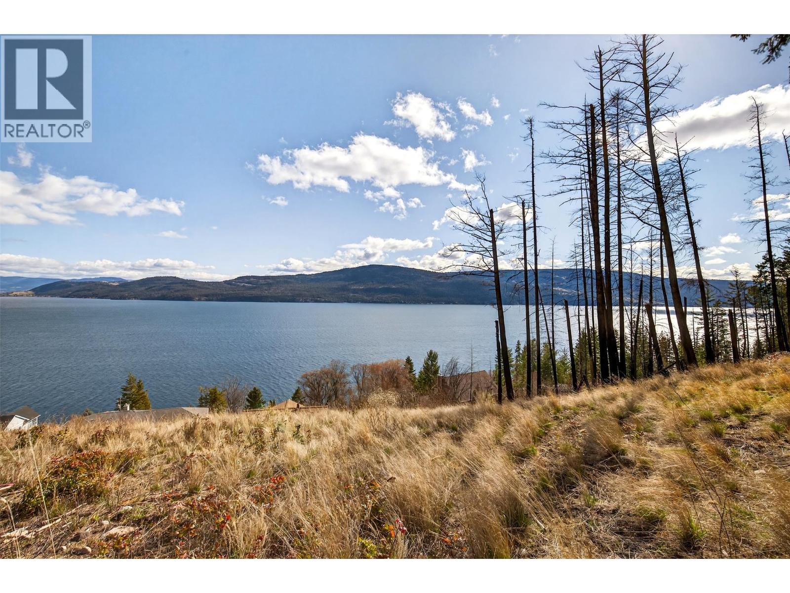 62 Kenyon Road, Vernon