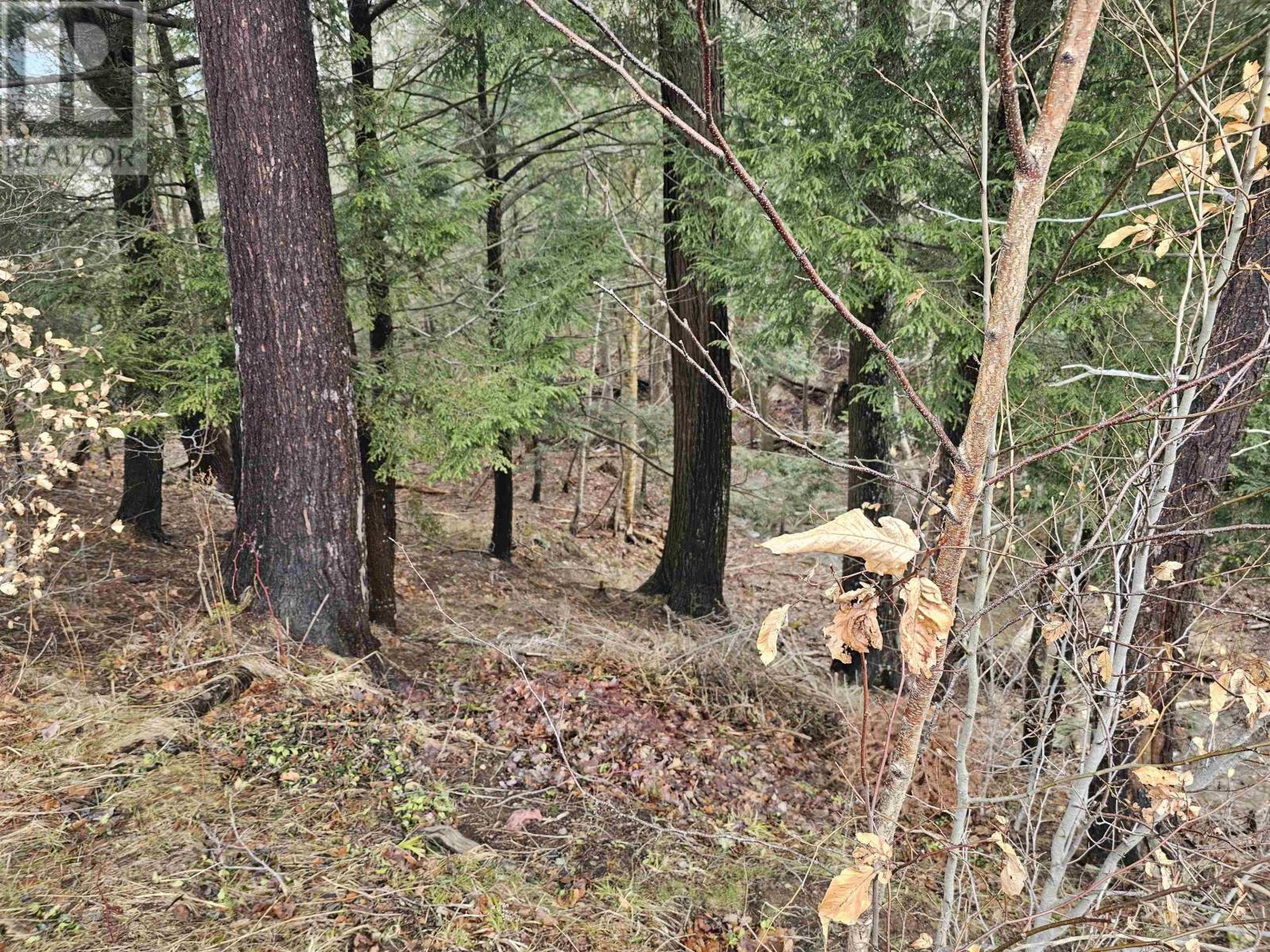 Property 8 of 9 of Lot 142 Alicia Boulevard